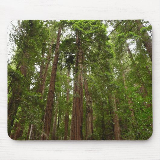 RedwoodsまでMuir Woods National Monument マウスパッド (正面)