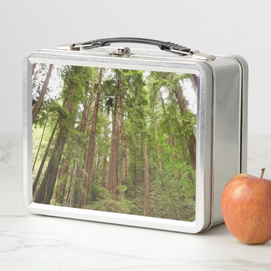 RedwoodsまでMuir Woods National Monument メタルランチボックス (インサイチュ)