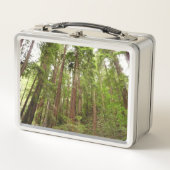 RedwoodsまでMuir Woods National Monument メタルランチボックス (正面)