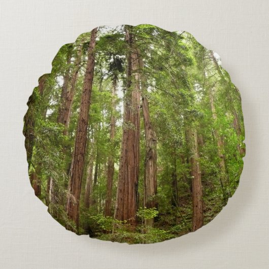 RedwoodsまでMuir Woods National Monument ラウンドクッション (正面)