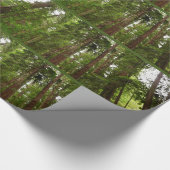 RedwoodsまでMuir Woods National Monument ラッピングペーパー (角)