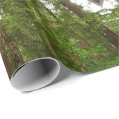 RedwoodsまでMuir Woods National Monument ラッピングペーパー (ロールコーナー)