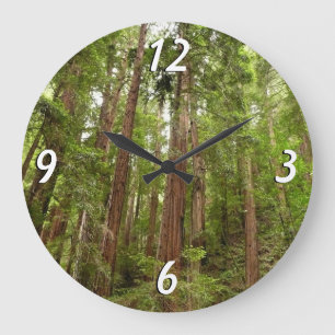 RedwoodsまでMuir Woods National Monument ラージ壁時計