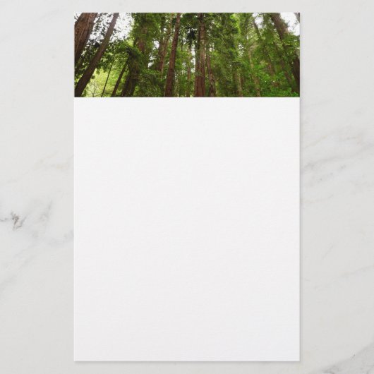 RedwoodsまでMuir Woods National Monument 便箋 (正面)