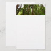 RedwoodsまでMuir Woods National Monument 便箋 (正面/裏面)