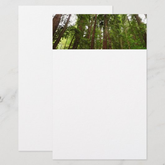 RedwoodsまでMuir Woods National Monument 便箋 (正面/裏面)