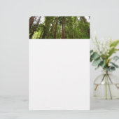 RedwoodsまでMuir Woods National Monument 便箋 (スタンド正面)