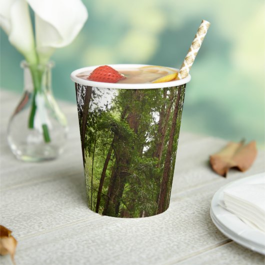 RedwoodsまでMuir Woods National Monument 紙コップ (インサイチュ)