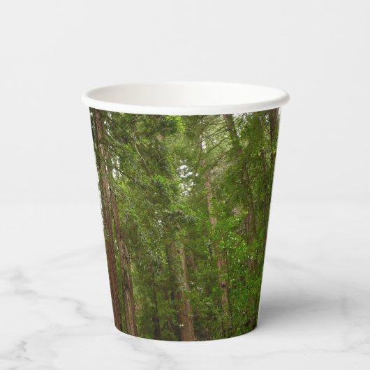 RedwoodsまでMuir Woods National Monument 紙コップ (裏面)