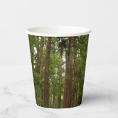 RedwoodsまでMuir Woods National Monument 紙コップ (左)