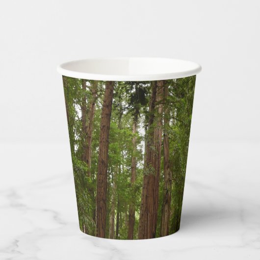 RedwoodsまでMuir Woods National Monument 紙コップ (左)