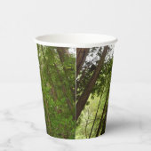 RedwoodsまでMuir Woods National Monument 紙コップ (右)