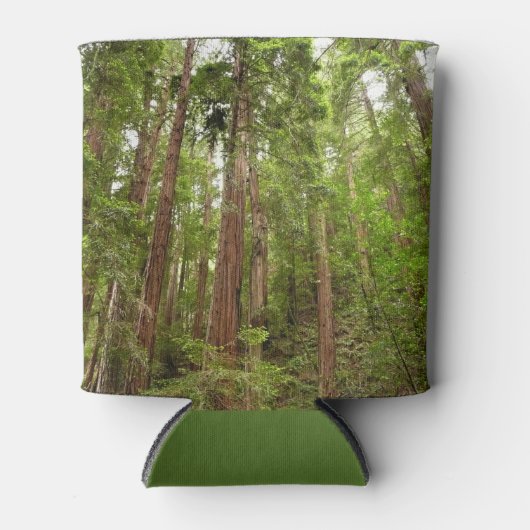 RedwoodsまでMuir Woods National Monument 缶クーラー (正面)