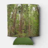 RedwoodsまでMuir Woods National Monument 缶クーラー (裏面)