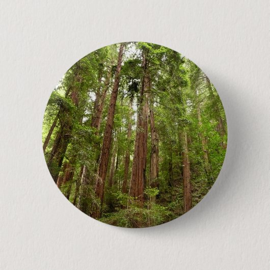 RedwoodsまでMuir Woods National Monument 缶バッジ (正面)