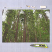 RedwoodsまでMuir Woods National Monument 薄葉紙 (クラフト)
