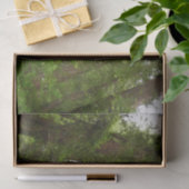 RedwoodsまでMuir Woods National Monument 薄葉紙 (ギフト)