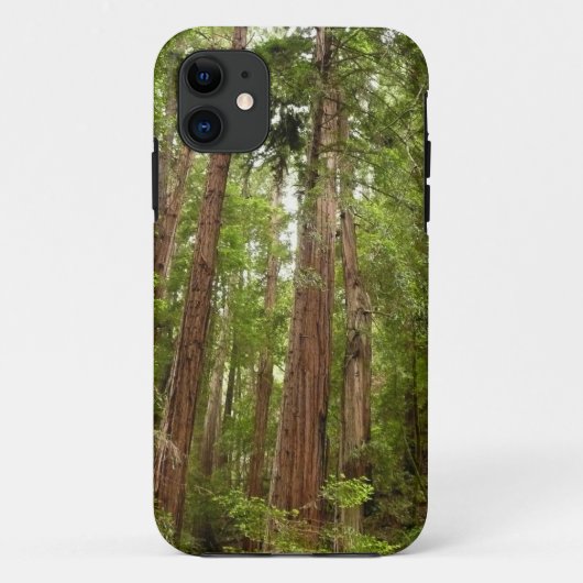 RedwoodsまでMuir Woods National Monument Case-Mate iPhoneケース (裏面)