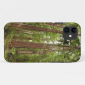RedwoodsまでMuir Woods National Monument Case-Mate iPhoneケース (裏面(横))