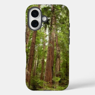 RedwoodsまでMuir Woods National Monument iPhone 16ケース