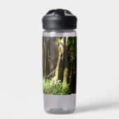 Redwoods and Ferns at Redwood National Park ウォーターボトル (正面)