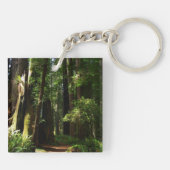 Redwoods and Ferns at Redwood National Park キーホルダー (裏面)