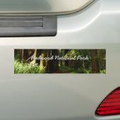 Redwoods and Ferns at Redwood National Park バンパーステッカー (車上)