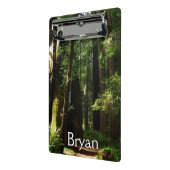 Redwoods and Ferns at Redwood National Park ミニクリップボード (アングル2)