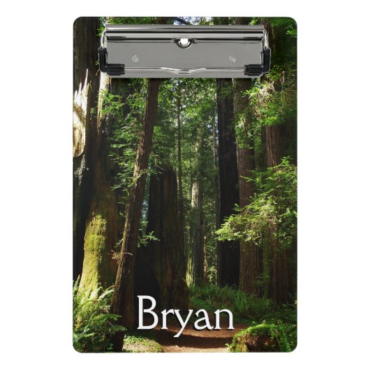 Redwoods and Ferns at Redwood National Park ミニクリップボード (正面)