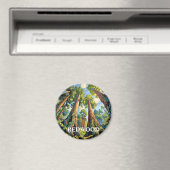 Redwoods National Park California Forest Painting マグネット (インサイチュ (食洗機))