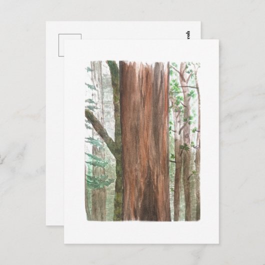redwoods postcard ポストカード (正面/裏面)