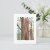 redwoods postcard ポストカード (スタンド正面)