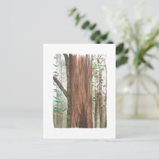 redwoods postcard ポストカード (スタンド正面)