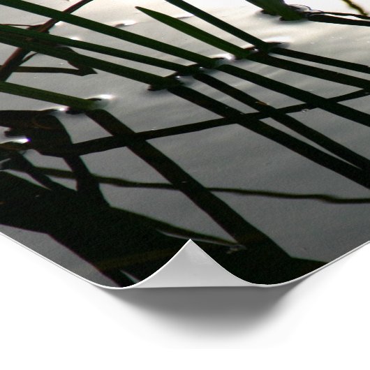 Reedsリフレクション禅の写真 ポスター (角)