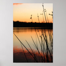 Reeds and Lakeside Reflection at Sunset