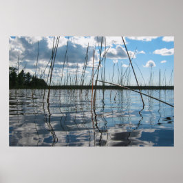 Reeds and Reflections on Rice Lake ポスター