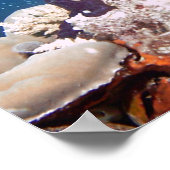 Reef ポスター (角)