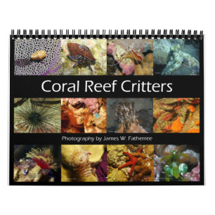 Reef Critters Wall Calendar by J.W.お父さん。 カレンダー