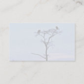 Reelfootの国民の野生生物の保護区の禿げたイーグルス 名刺 (裏面)