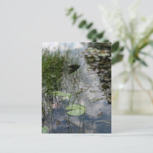 Reflections at the Water's Edge  ポストカード (スタンド正面)