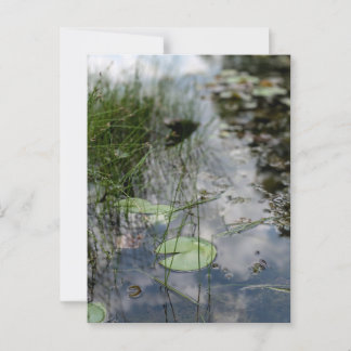 Reflections at the Water's Edge  ポストカード
