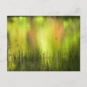 Reflections in Mirror Lake | Yosemite ポストカード (正面)