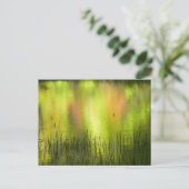 Reflections in Mirror Lake | Yosemite ポストカード (スタンド正面)