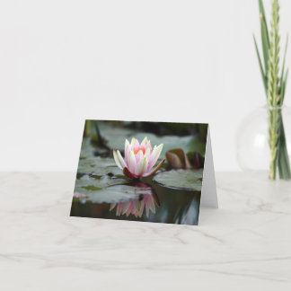 Reflections_noteカード カード