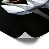 Reflections of Love, Heart Shape, White Swans ポスター (角)