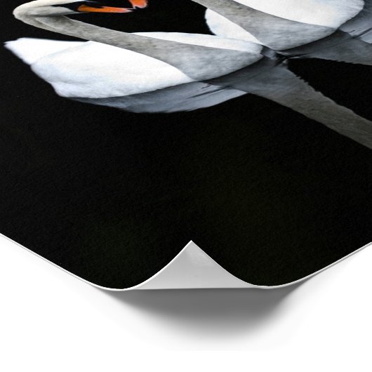 Reflections of Love, Heart Shape, White Swans ポスター (角)