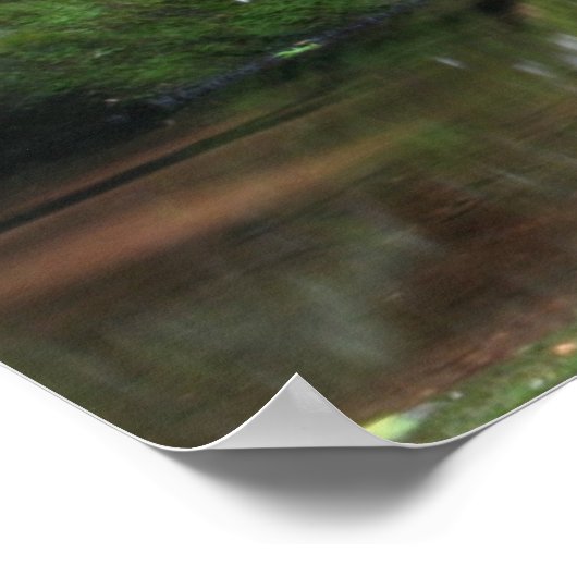 Reflections of Mineral Creek ポスター (角)