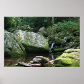 Reflections of Mineral Creek ポスター (正面)