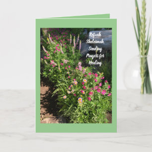 Refuah Sheleimah、Send Healing カード