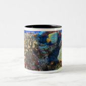 Regal Angelfish Pygoplites diacanthus)、 ツートーンマグカップ (中央)